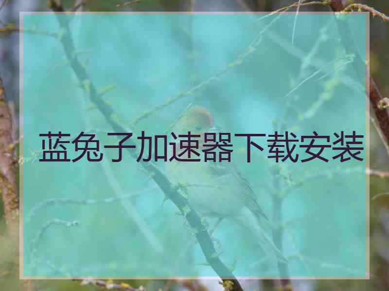蓝兔子加速器下载安装