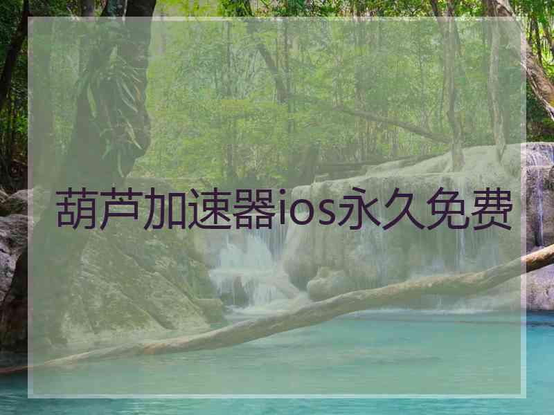 葫芦加速器ios永久免费