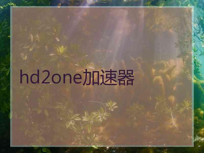 hd2one加速器