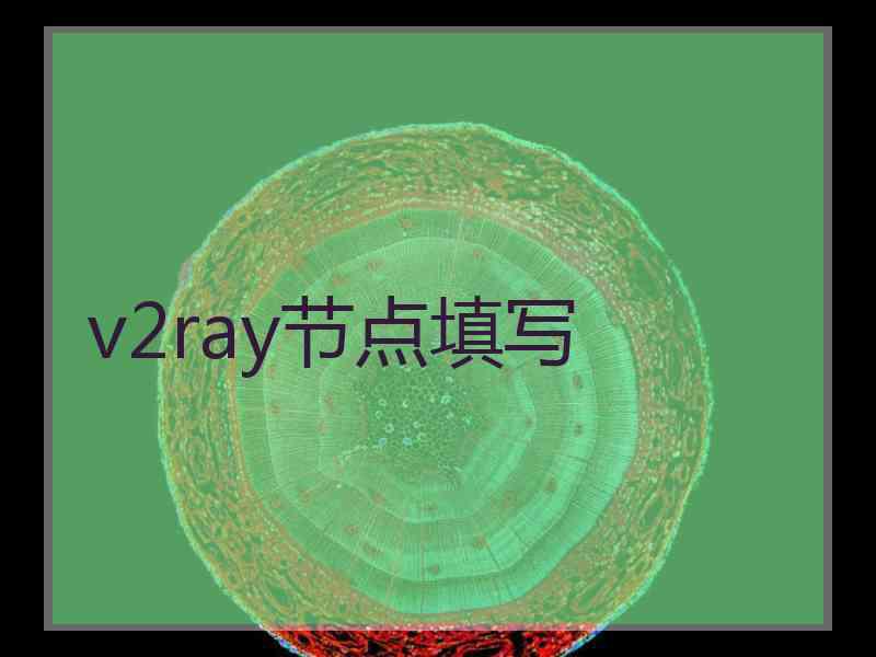 v2ray节点填写