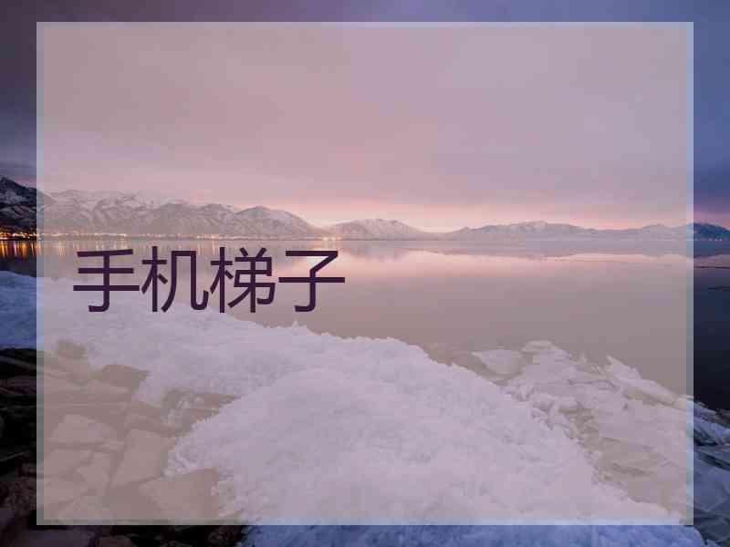 手机梯子