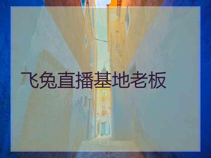 飞兔直播基地老板