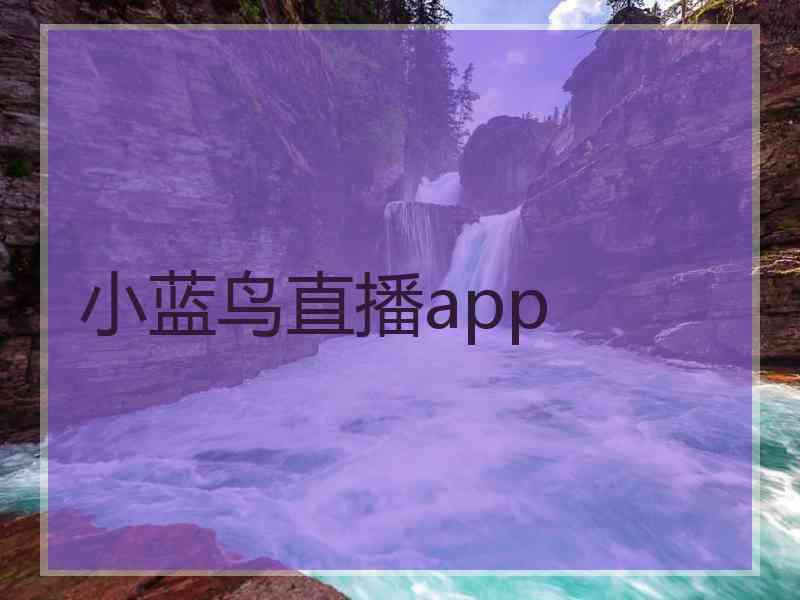 小蓝鸟直播app