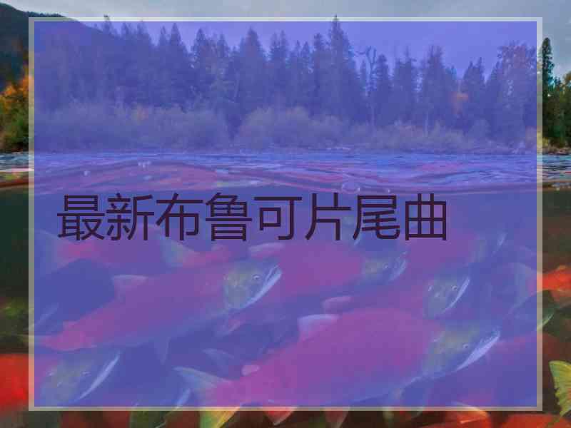最新布鲁可片尾曲