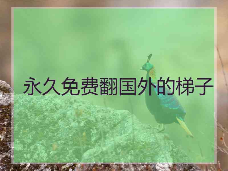 永久免费翻国外的梯子