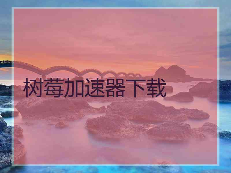 树莓加速器下载