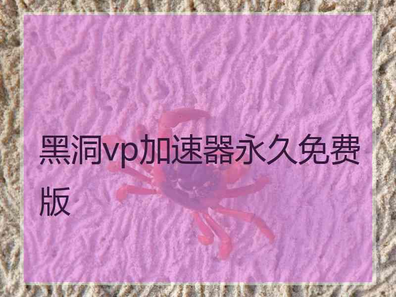 黑洞vp加速器永久免费版