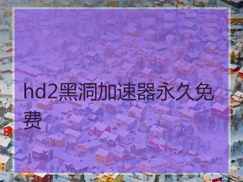 hd2黑洞加速器永久免费