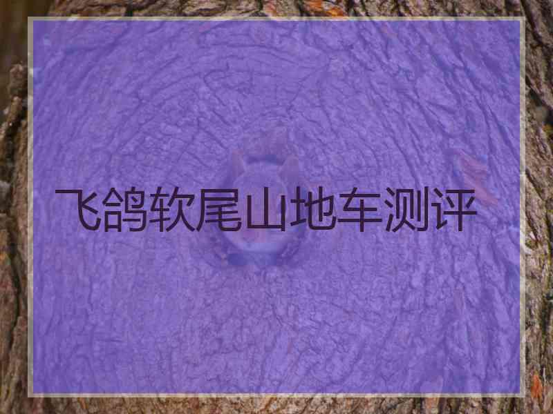 飞鸽软尾山地车测评