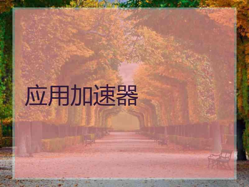 应用加速器