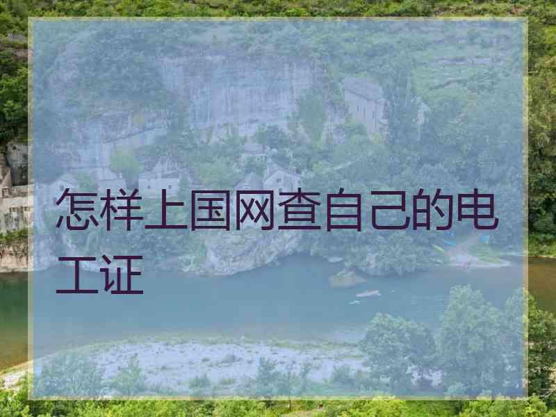 怎样上国网查自己的电工证