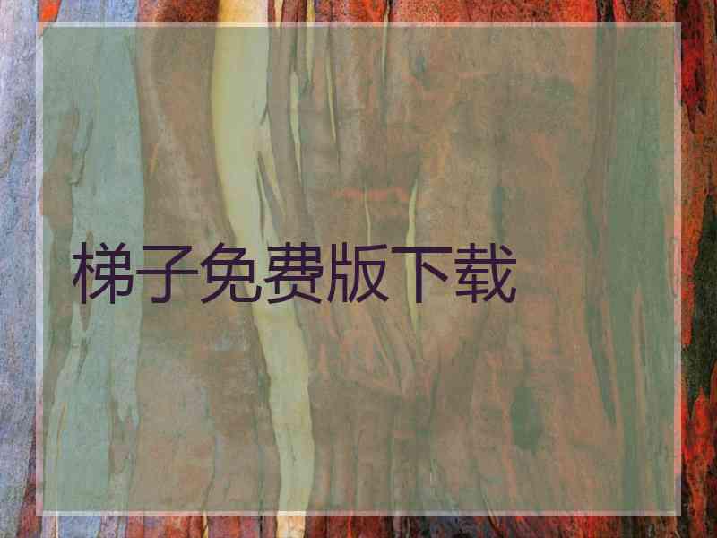 梯子免费版下载