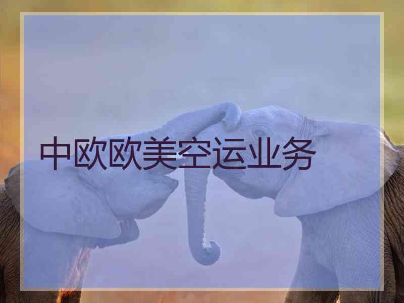 中欧欧美空运业务