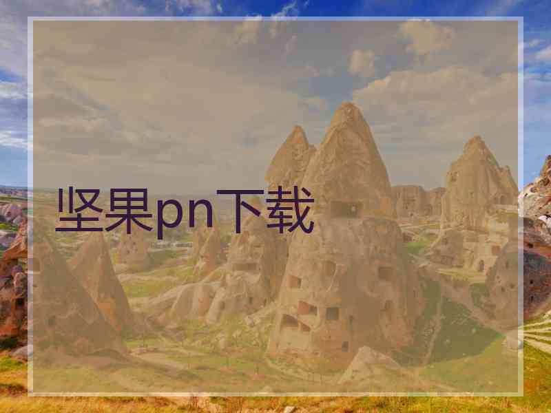 坚果pn下载