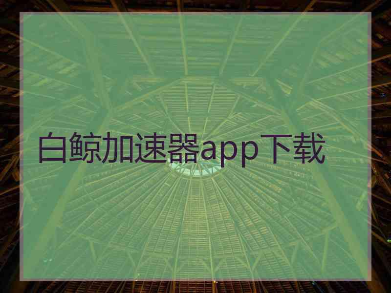 白鲸加速器app下载