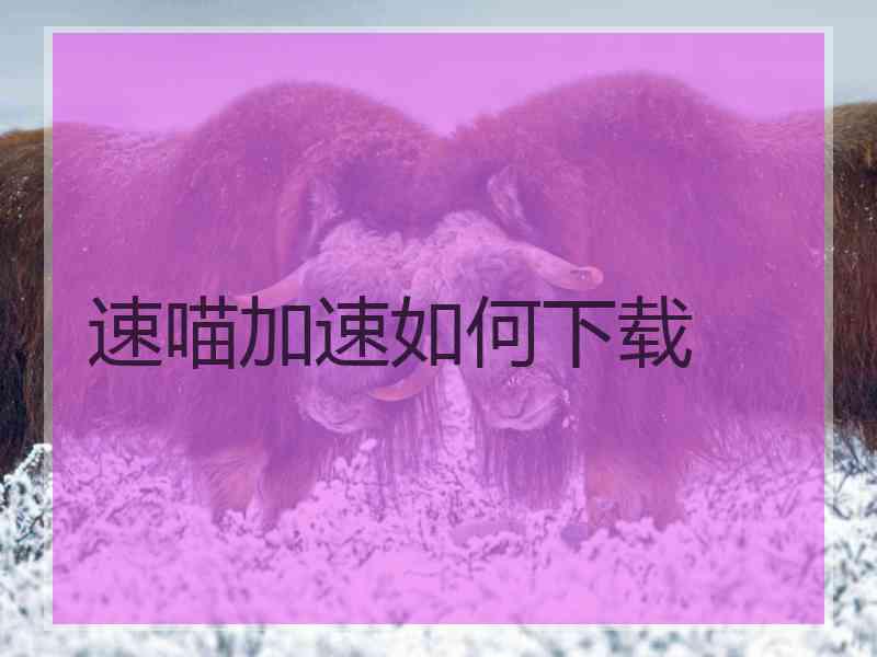 速喵加速如何下载