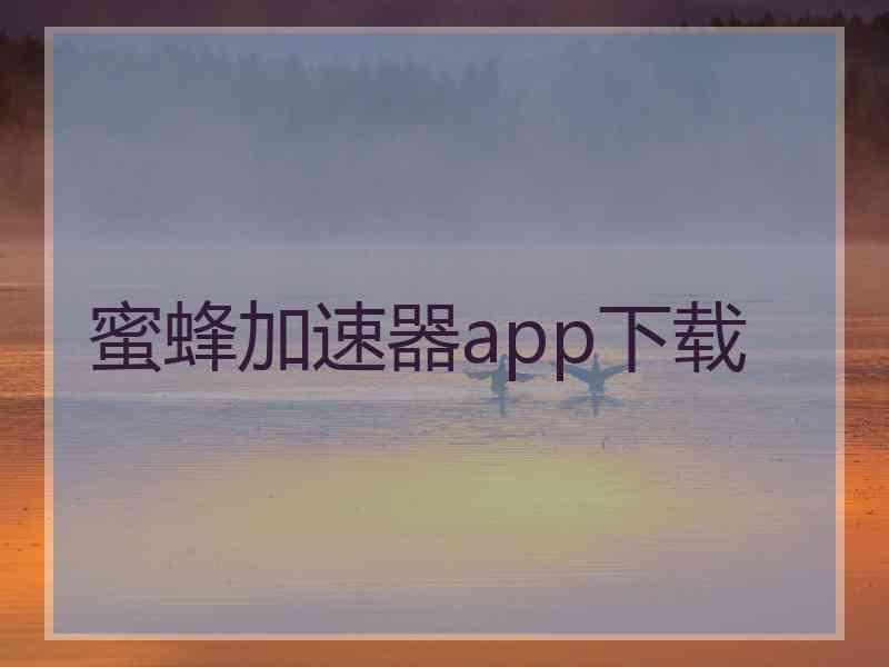 蜜蜂加速器app下载