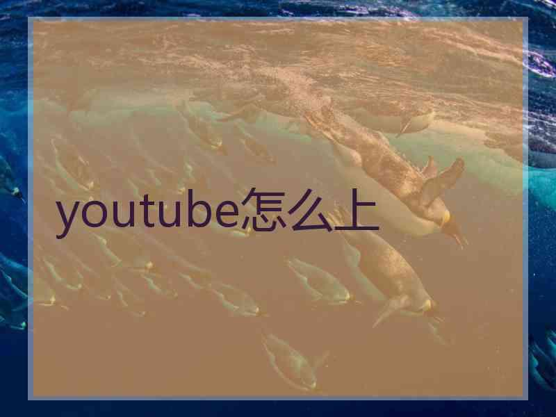 youtube怎么上