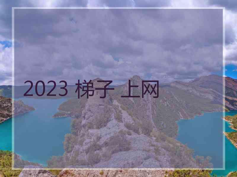 2023 梯子 上网