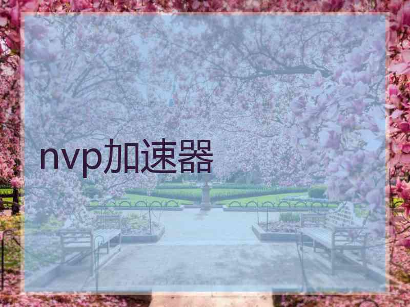 nvp加速器