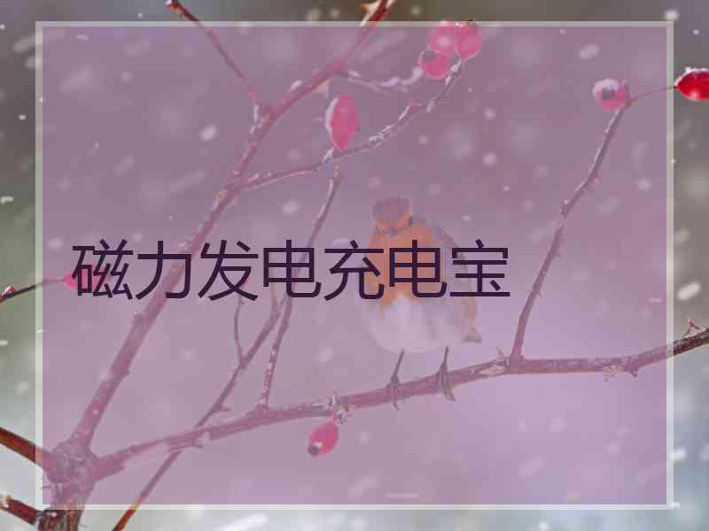 磁力发电充电宝