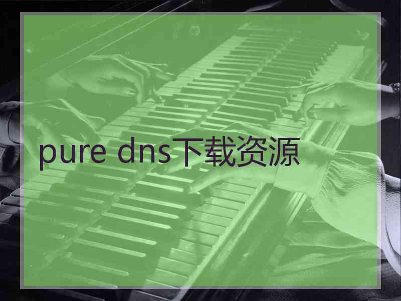 pure dns下载资源