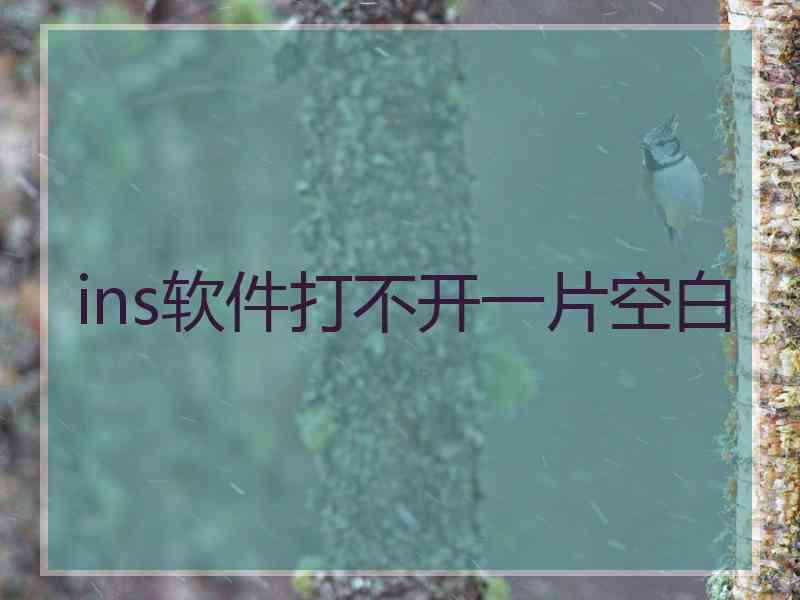 ins软件打不开一片空白