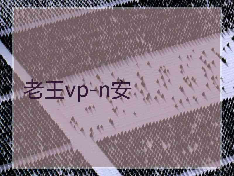 老王vp-n安