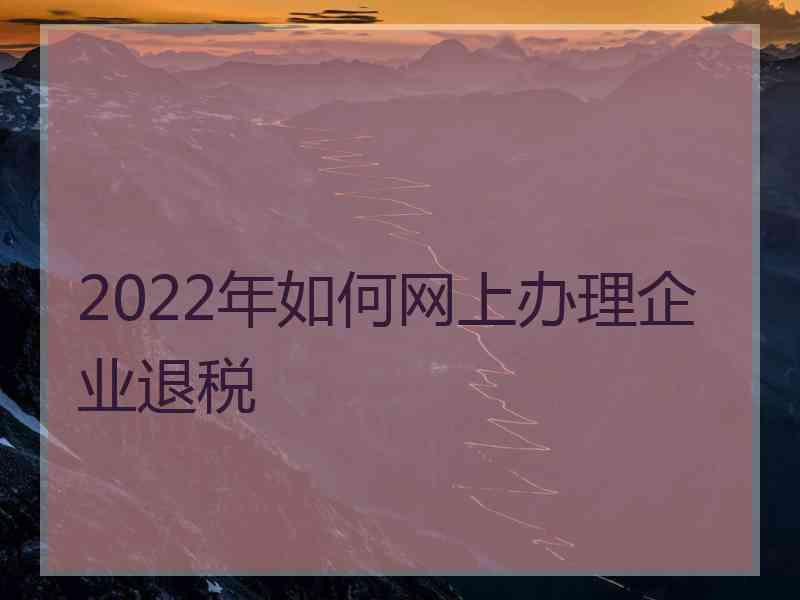 2022年如何网上办理企业退税
