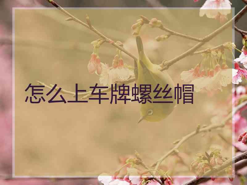 怎么上车牌螺丝帽