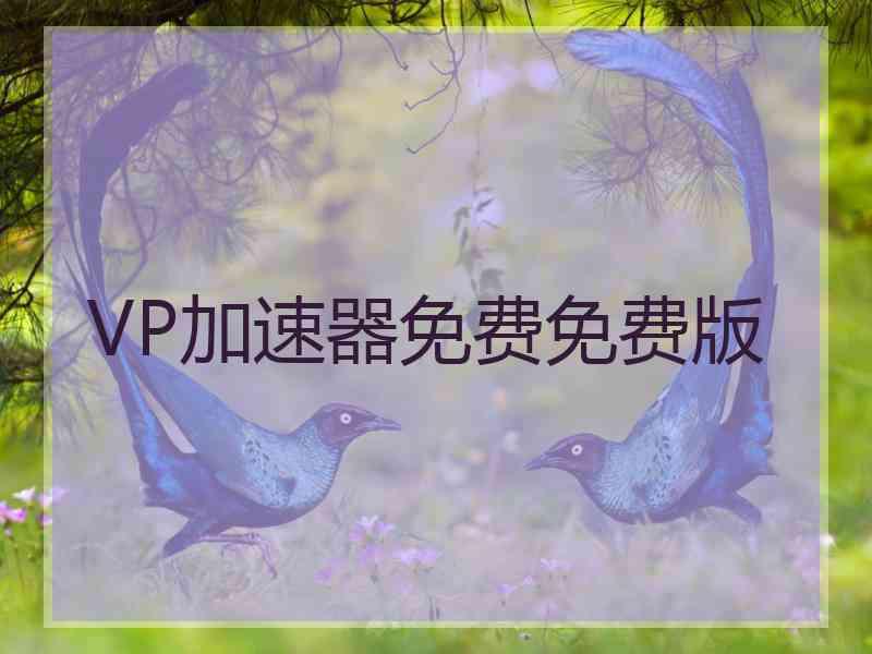 VP加速器免费免费版