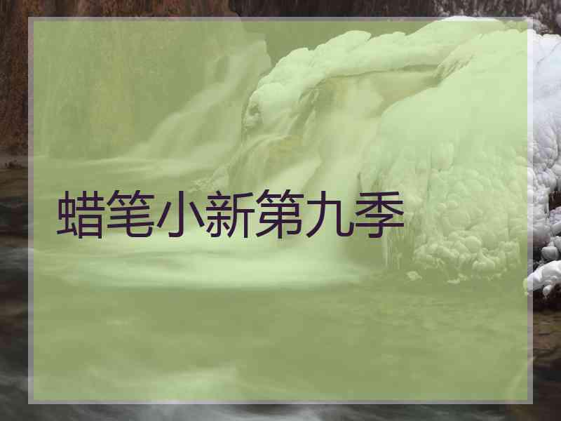 蜡笔小新第九季