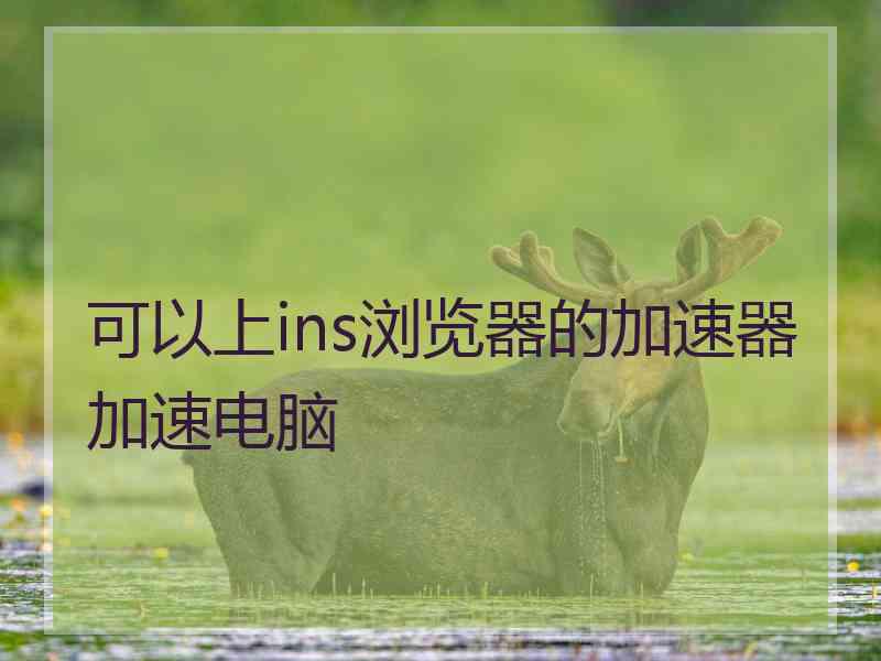 可以上ins浏览器的加速器加速电脑