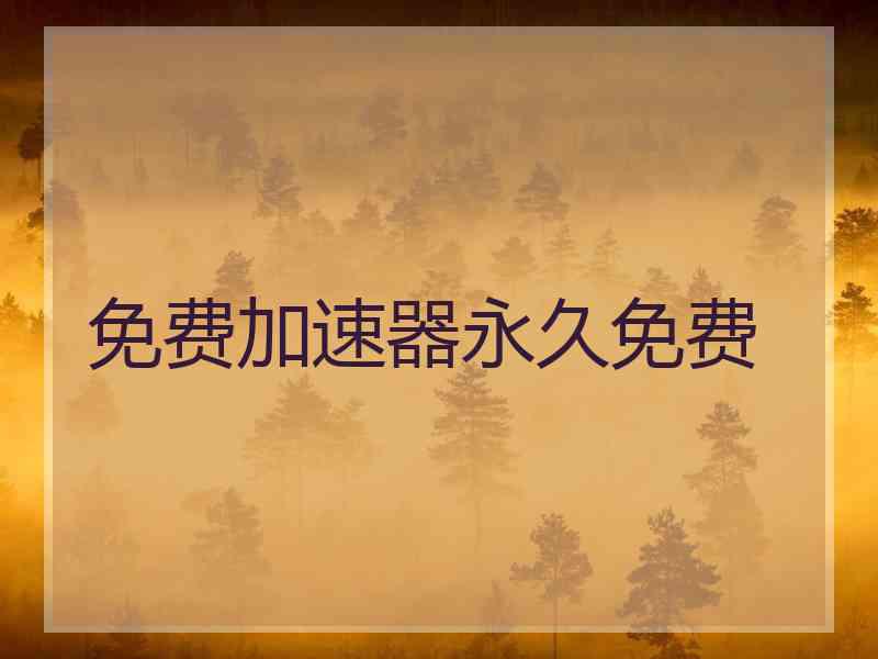 免费加速器永久免费