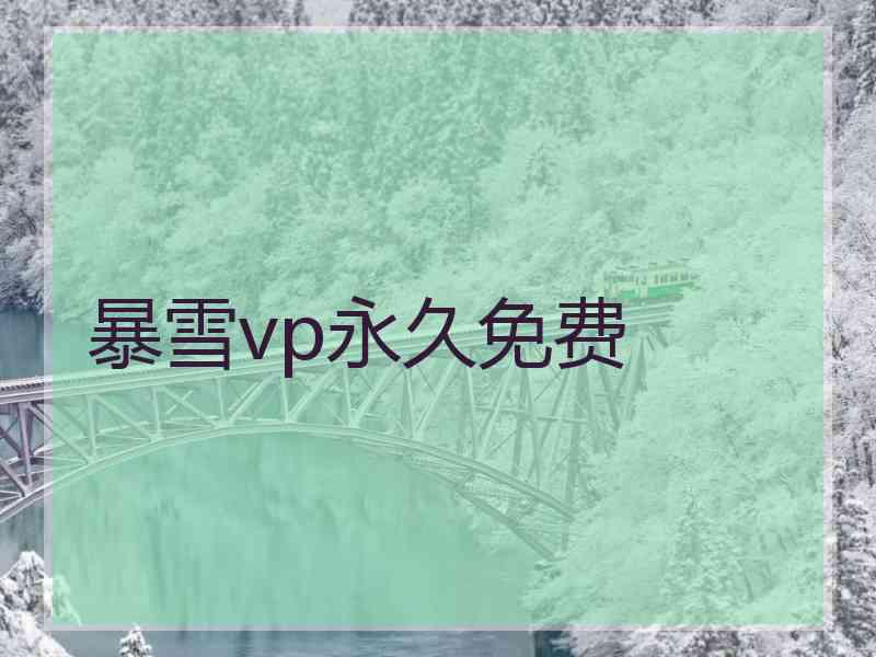 暴雪vp永久免费