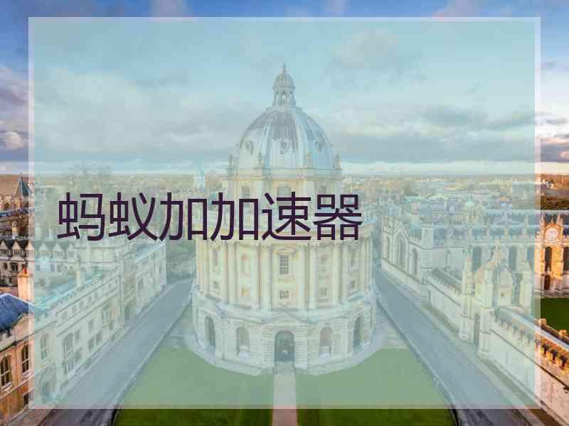 蚂蚁加加速器