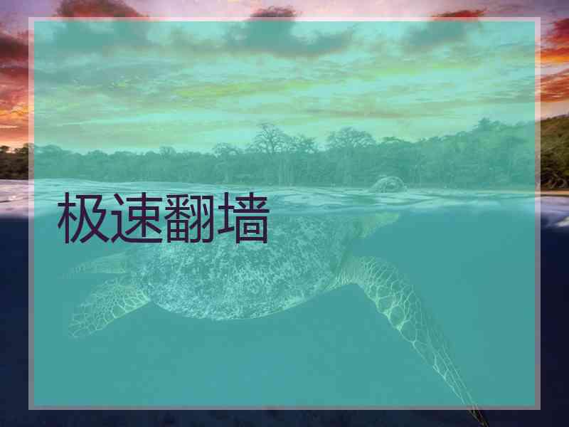 极速翻墙