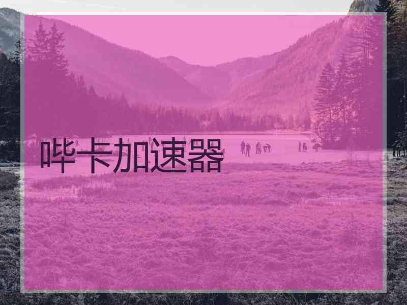 哔卡加速器