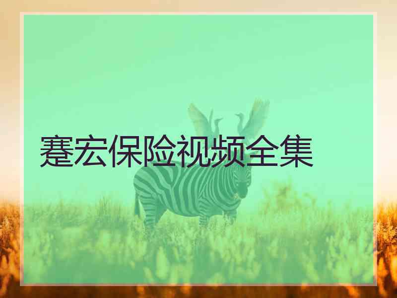 蹇宏保险视频全集