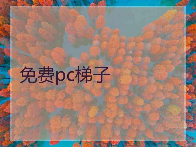 免费pc梯子