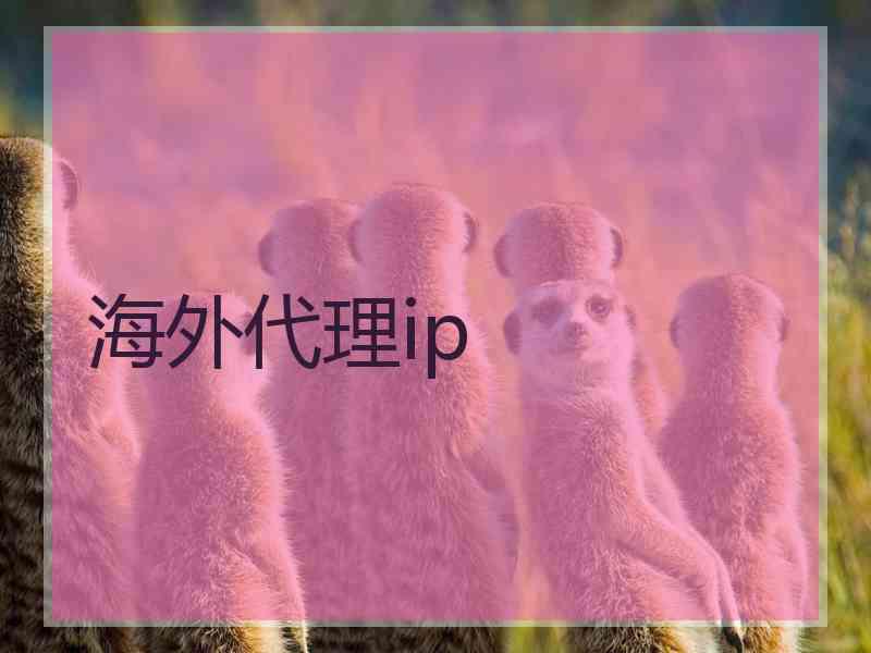 海外代理ip