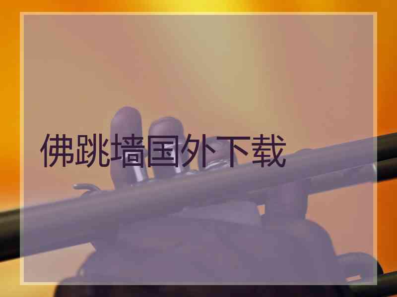 佛跳墙国外下载