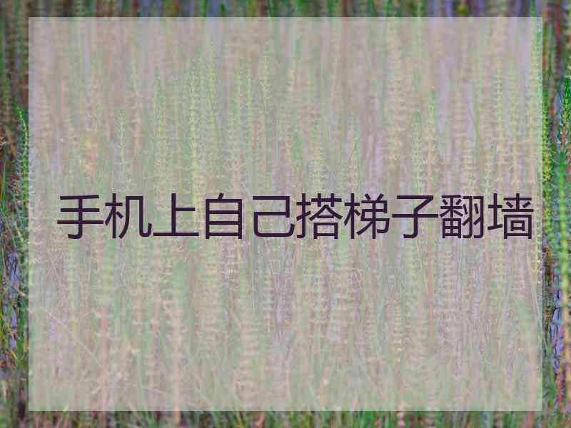 手机上自己搭梯子翻墙