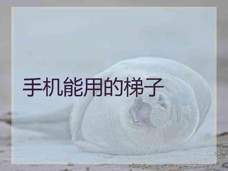 手机能用的梯子