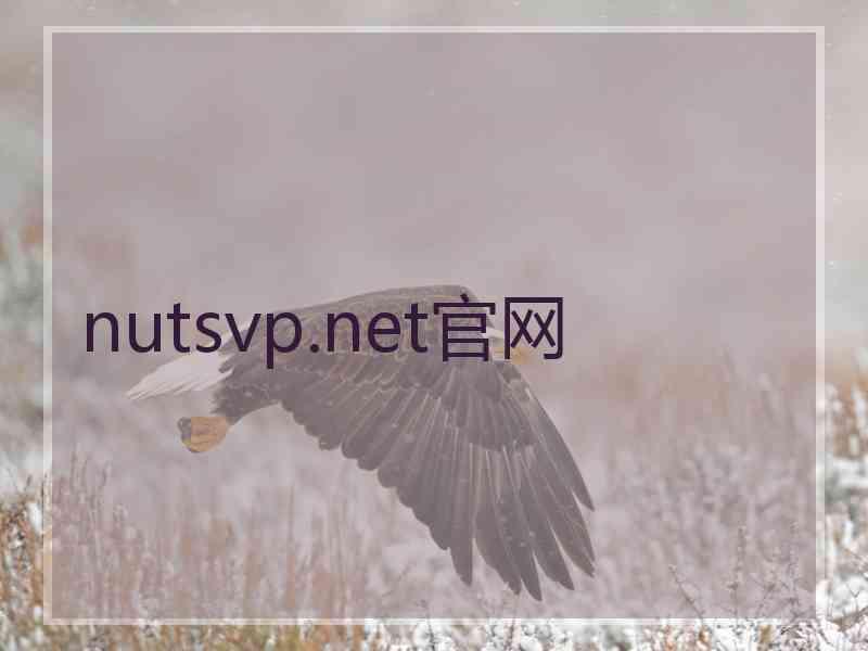 nutsvp.net官网