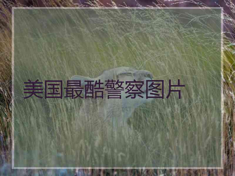 美国最酷警察图片