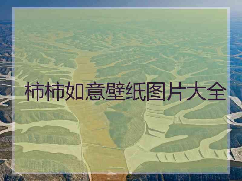 柿柿如意壁纸图片大全