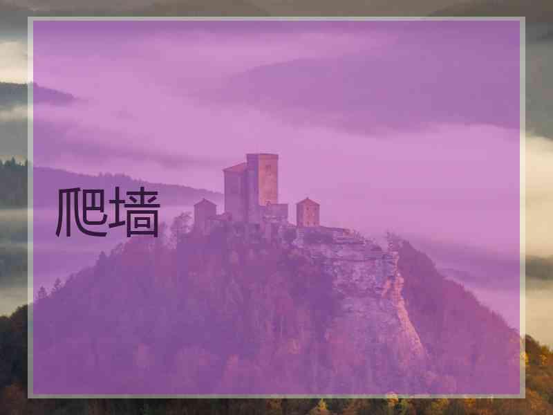 爬墙