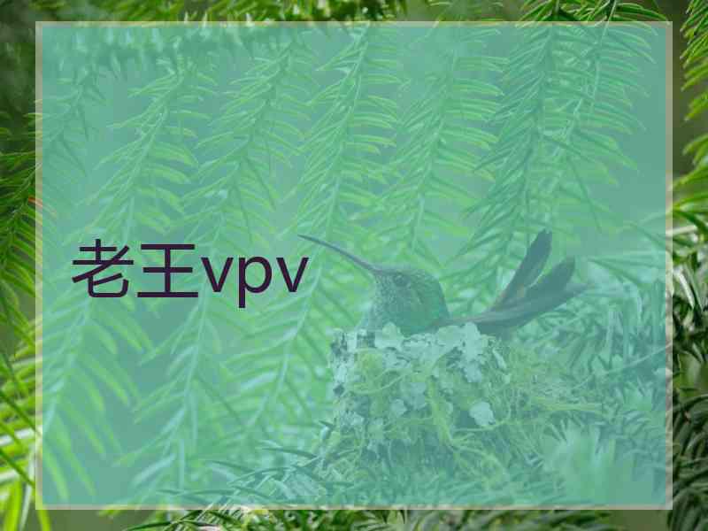 老王vpv