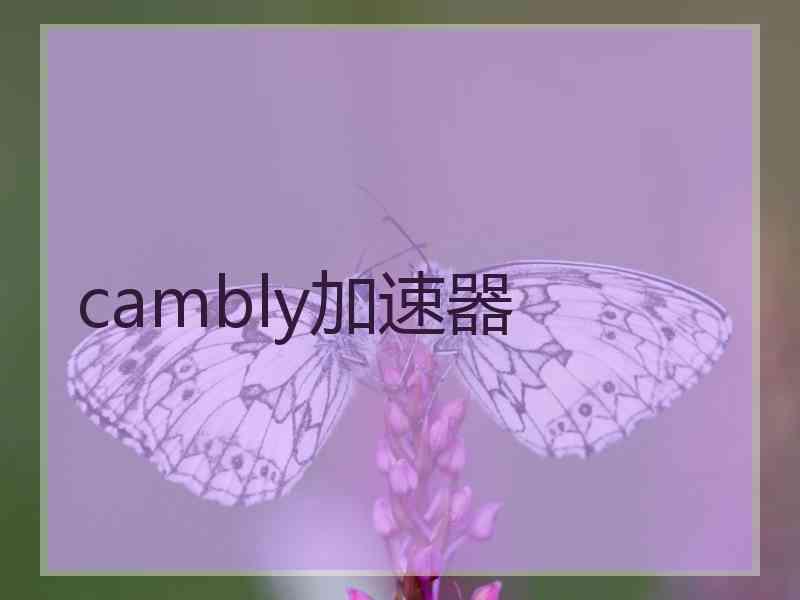 cambly加速器